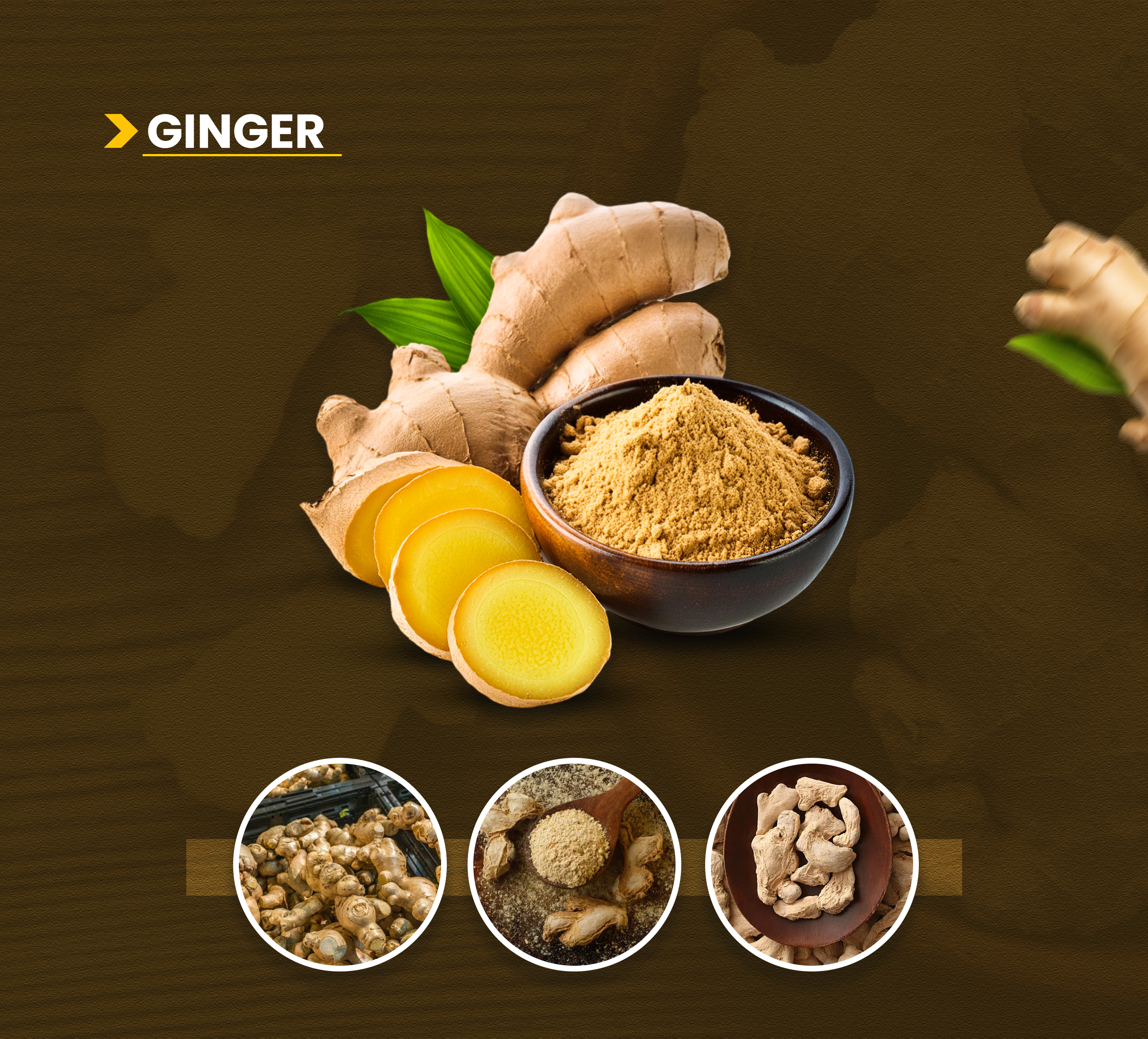 Turmeric Powder