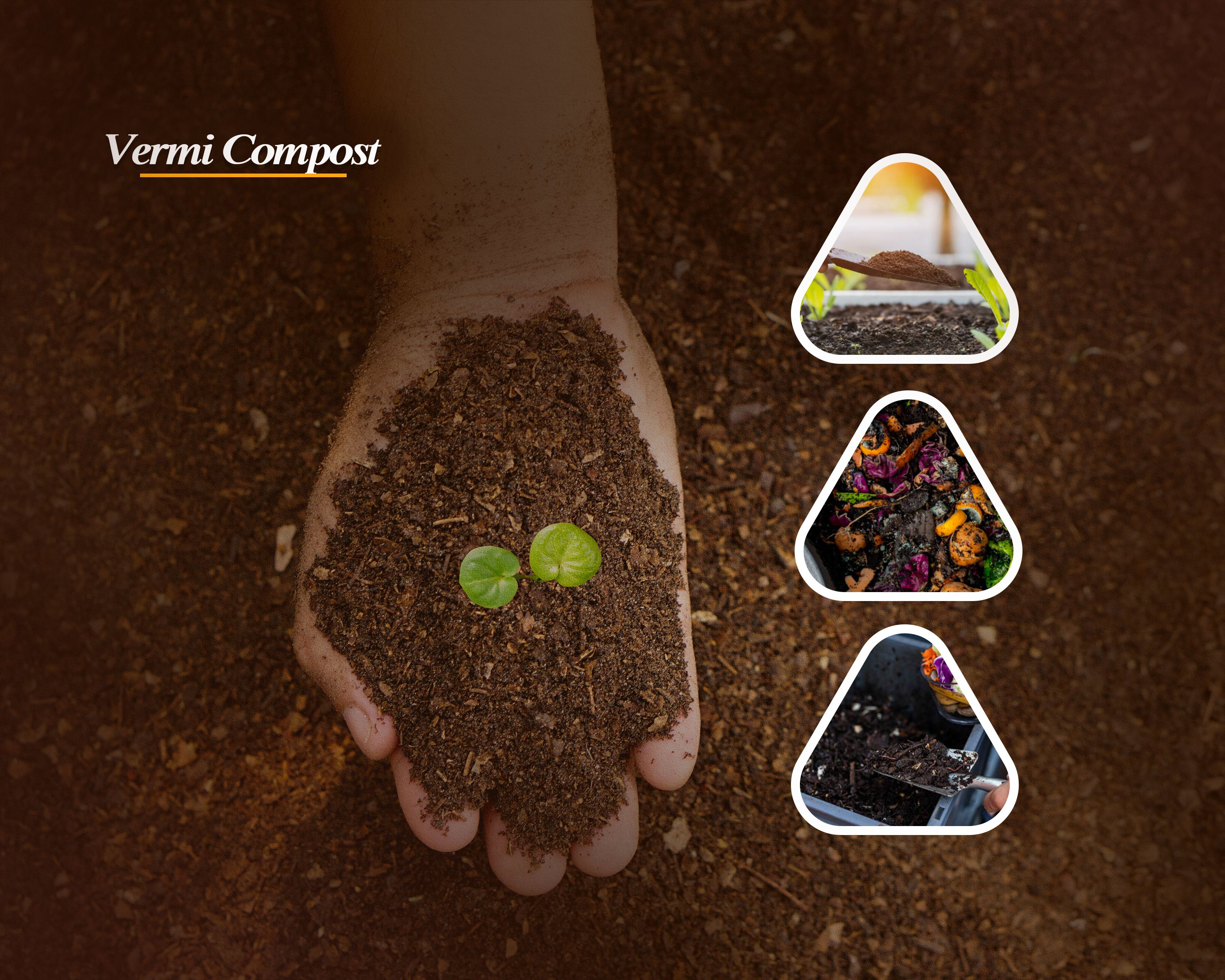 Turmeric Powder